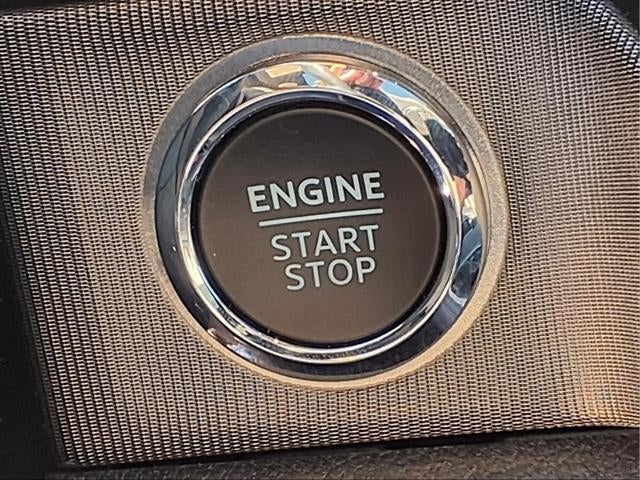 2024 Ford Super Duty F-250 SRW Platinum