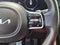 2024 Kia Carnival SX