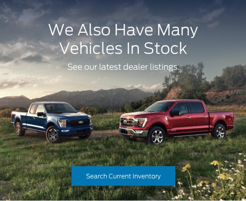 Ford vehicles in stock | Mike Willis Ford Orange in Orange TX